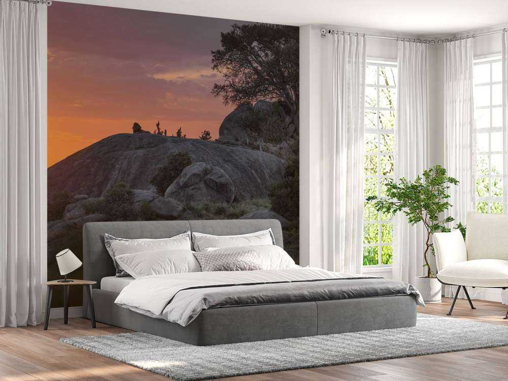 Sunset over the savannah