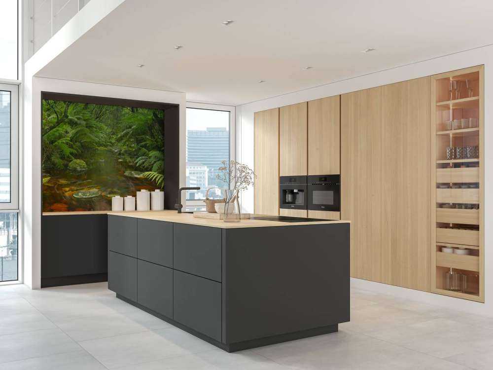 River in the rainforest