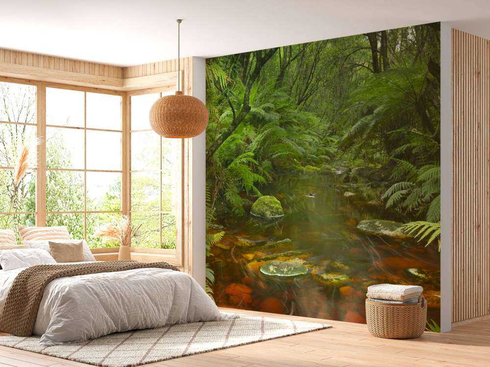 River in the rainforest