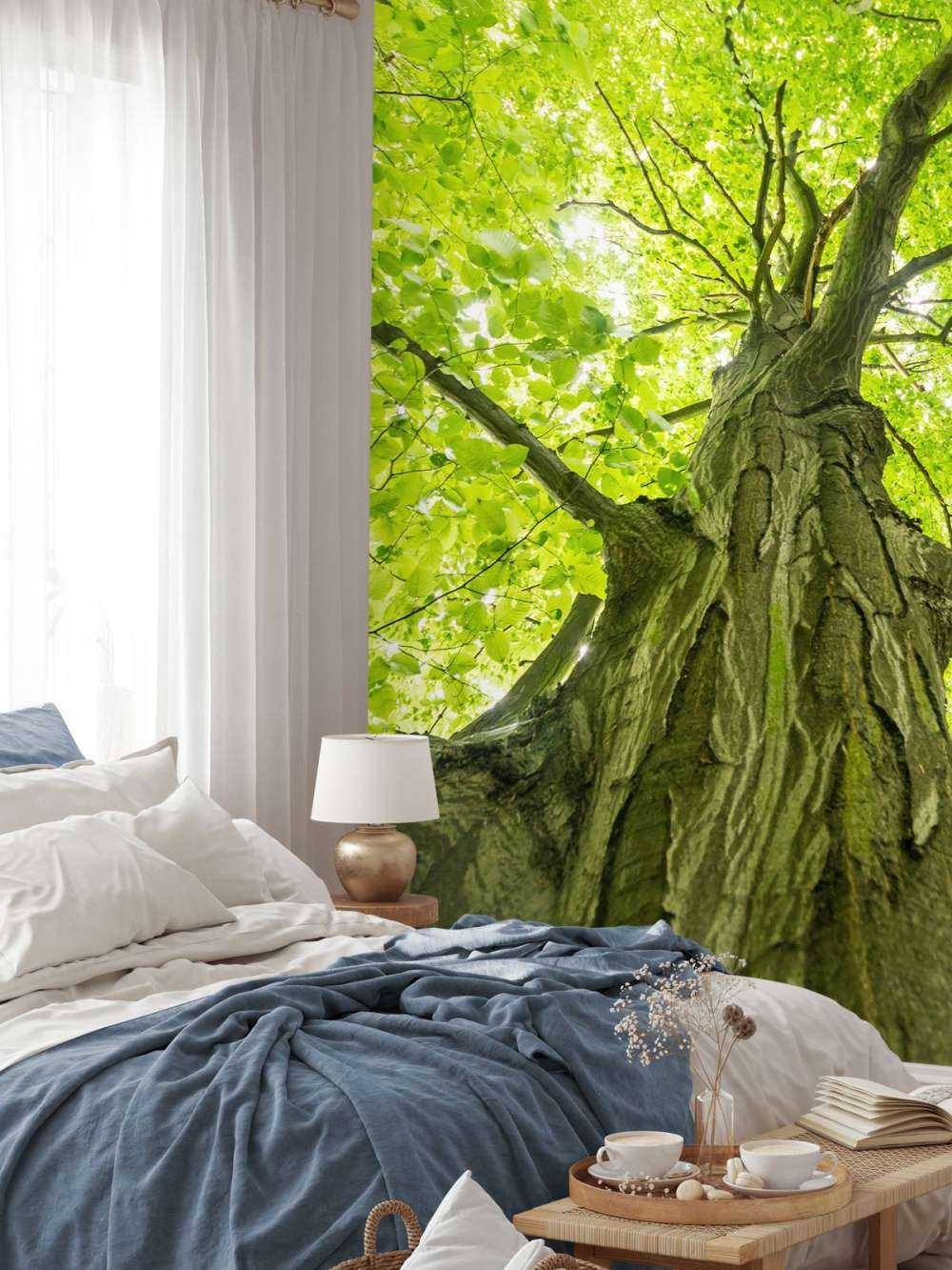 Large tree in the forest