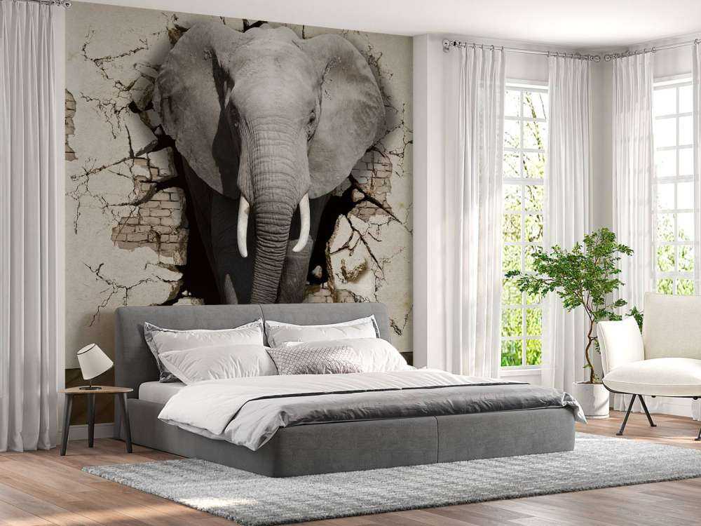 3D Elephant from the wall