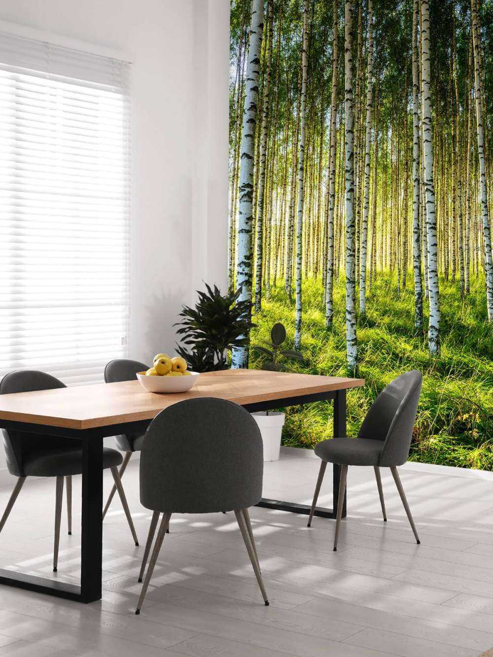 Summer birch forest