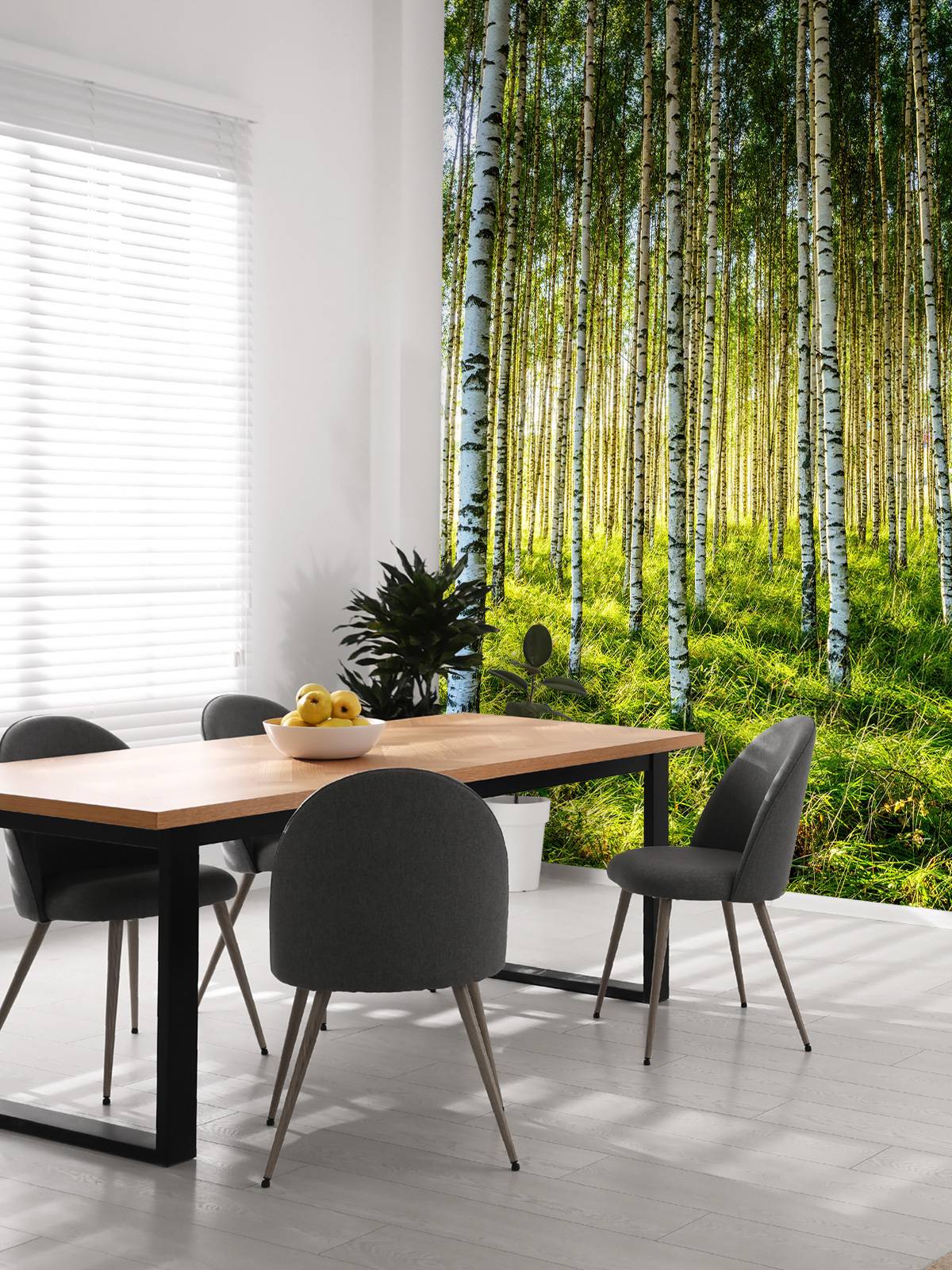 Summer birch forest
