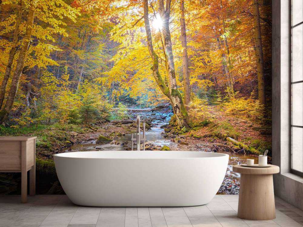 Autumn in wild forest