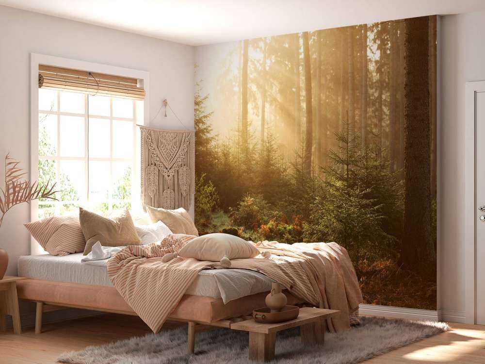 Sunbeams through forest