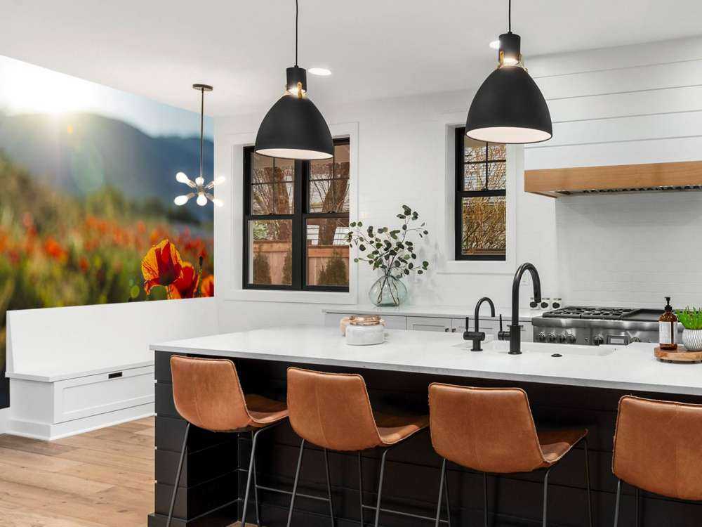 Poppies with sunbeams