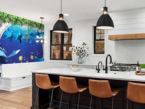 Dolphins through the wall