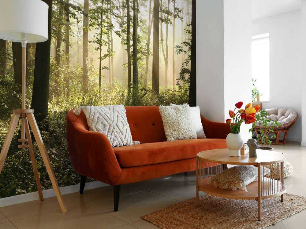 Foggy deciduous forest