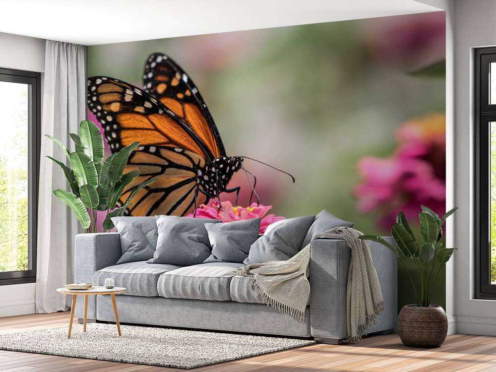 A monarch butterfly