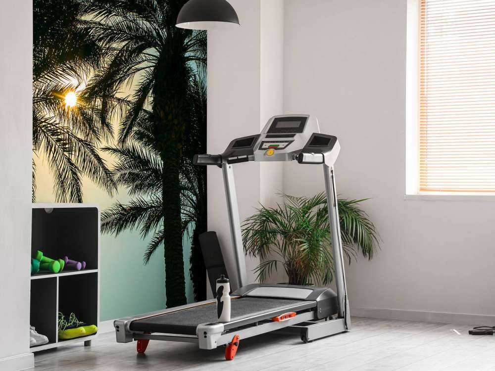 Silhouette of palm trees