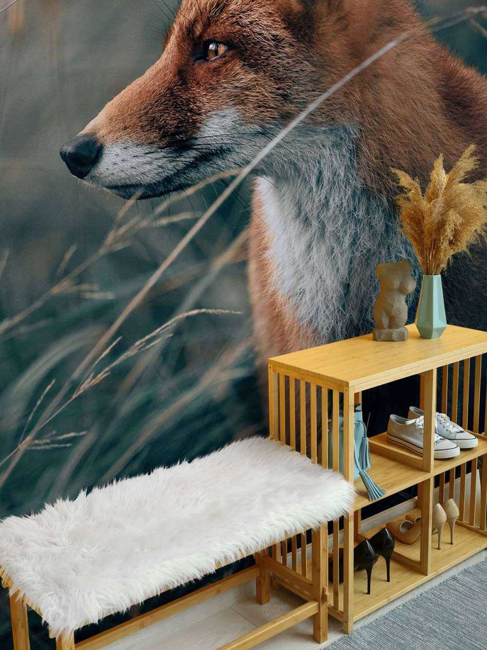 Fox in the dunes