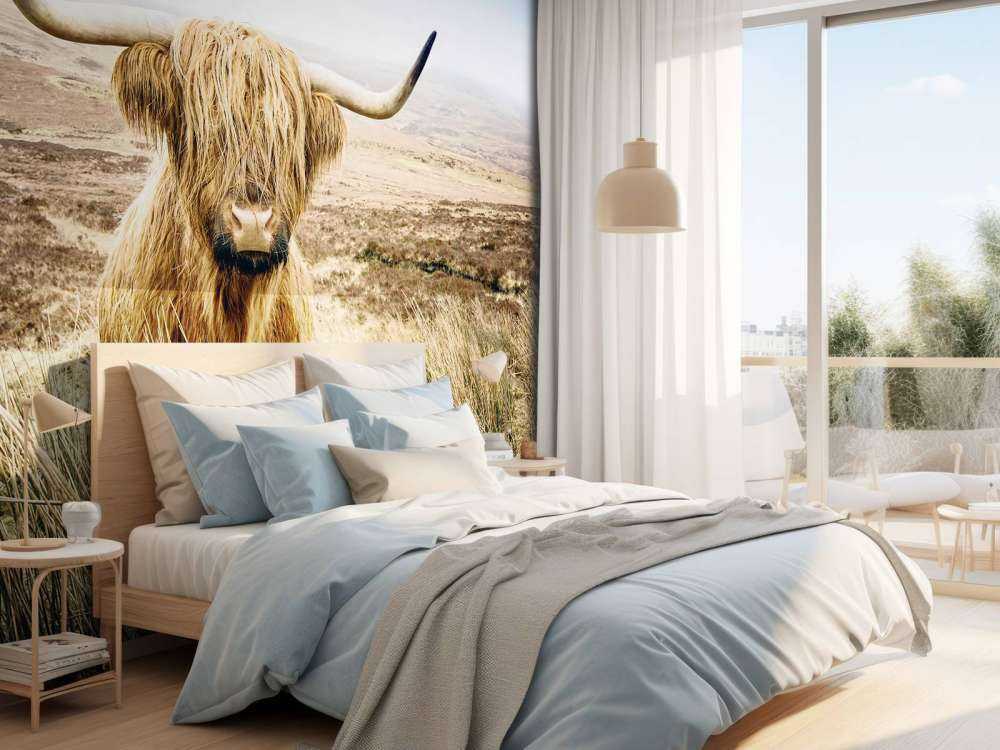 Scottish Highlander with reed