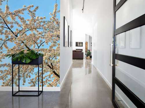Blossom branch