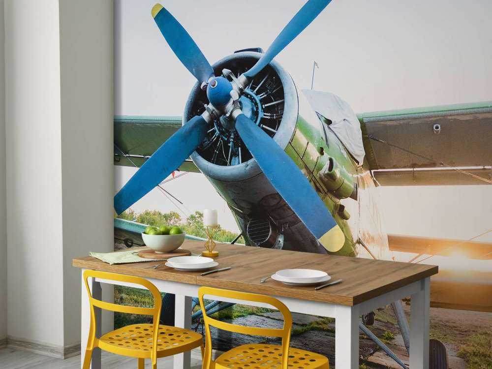 Small single-engine private plane