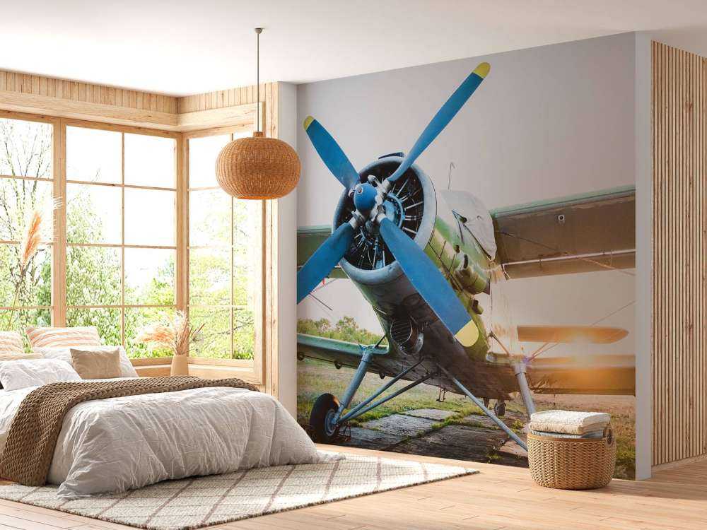 Small single-engine private plane