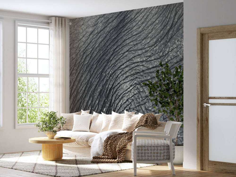 Close-up elephant skin