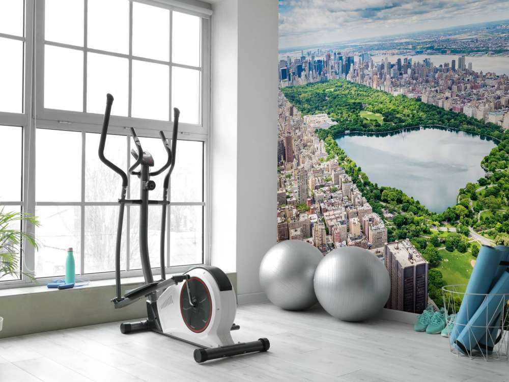 Skyline with Central Park