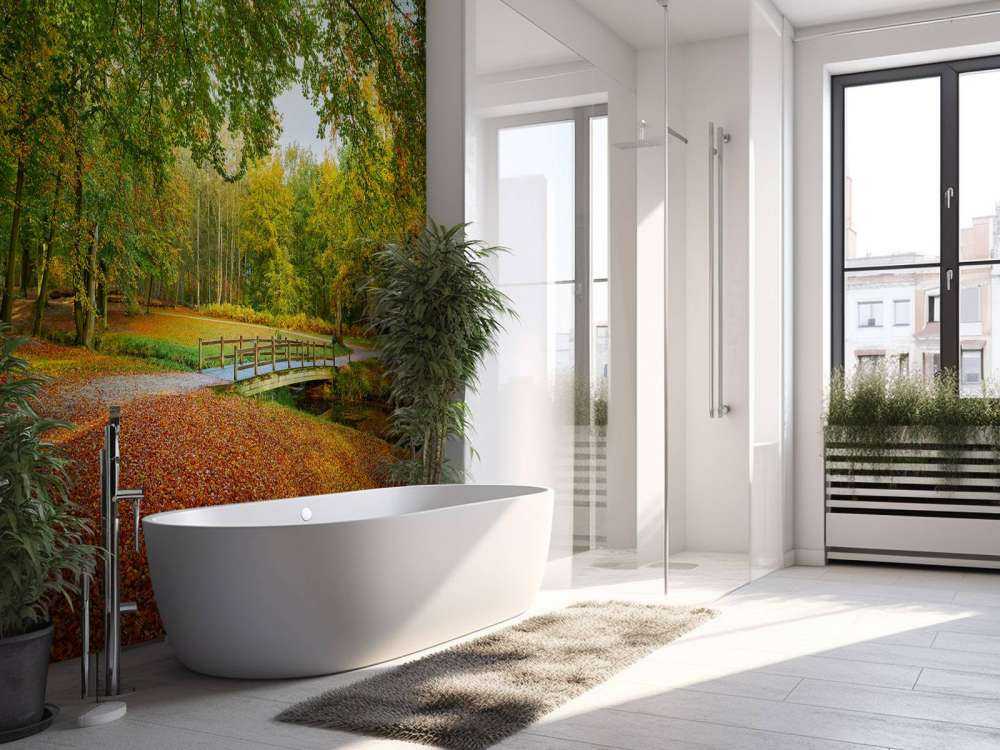 Bridge in the large forest