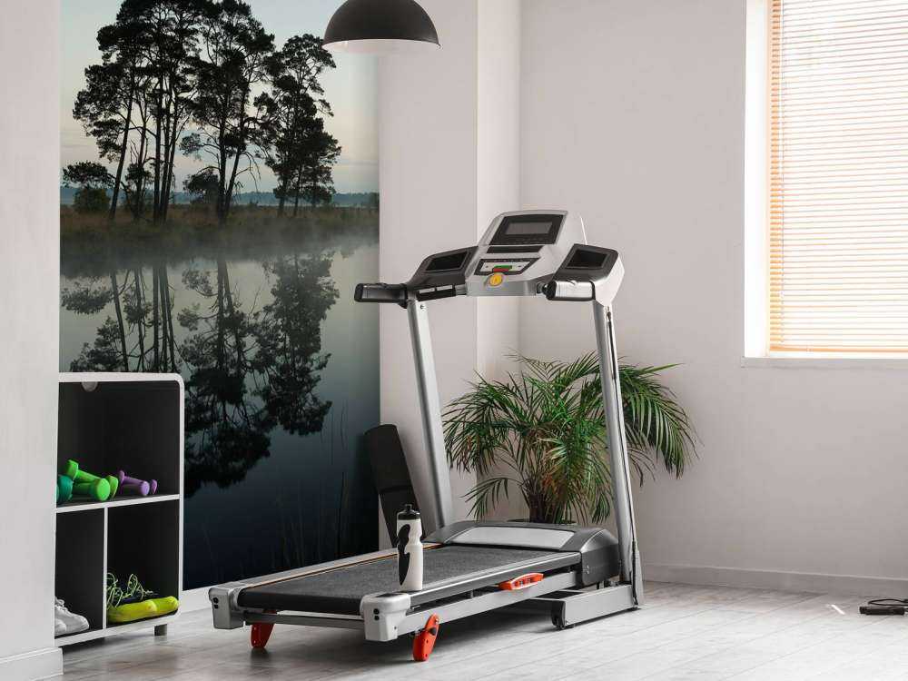 Trees along woodlands