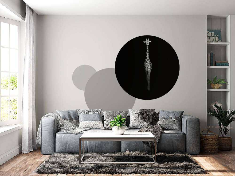 Giraffe black and white