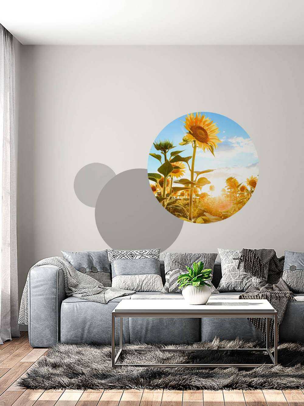 Sunflower with blue sky