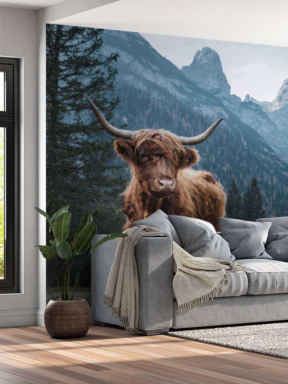 Scottish highlander among the trees