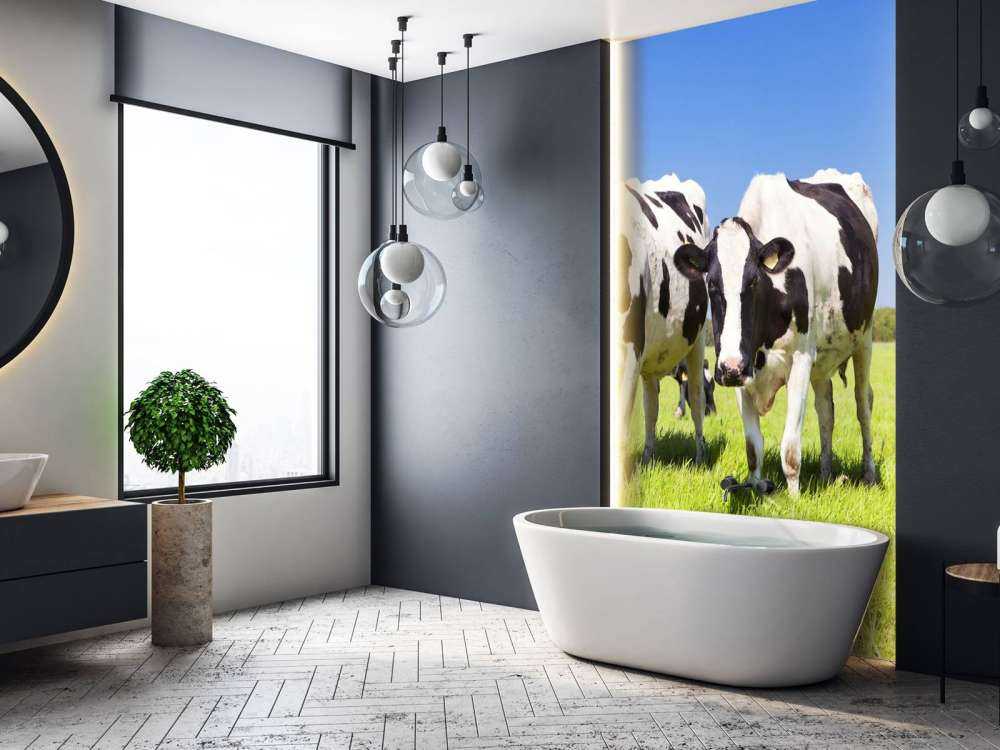 Photo wallpaper cows