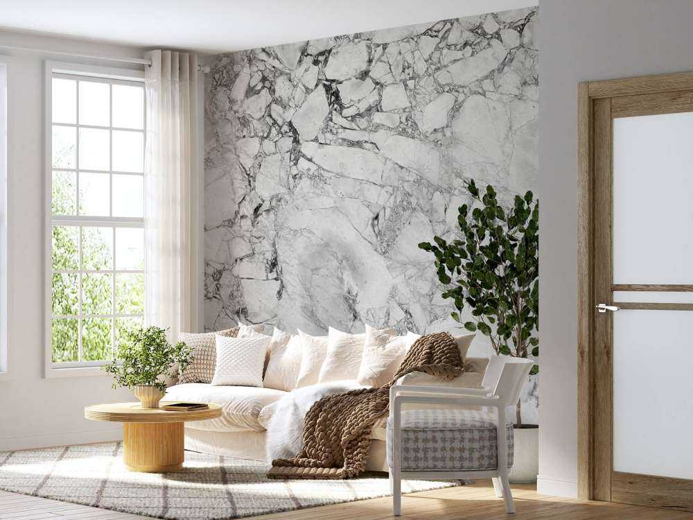 Black and white marble with coarse structure