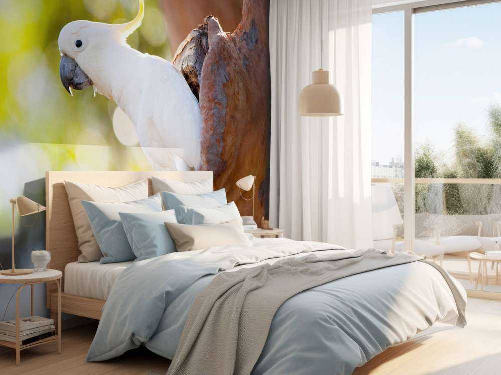 Cockatoo in tree cavity