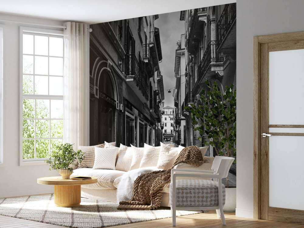 Shopping street in black and white