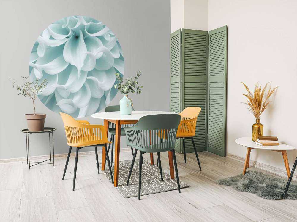 Light colored dahlia