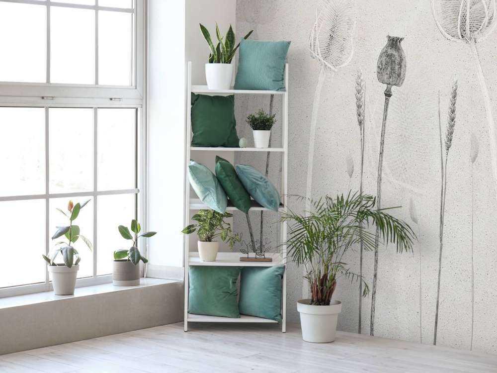 Whispering Nature Ghosts