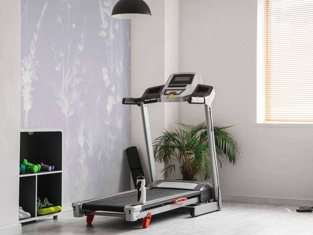 Lavender Glade Seamless Lavender Purple