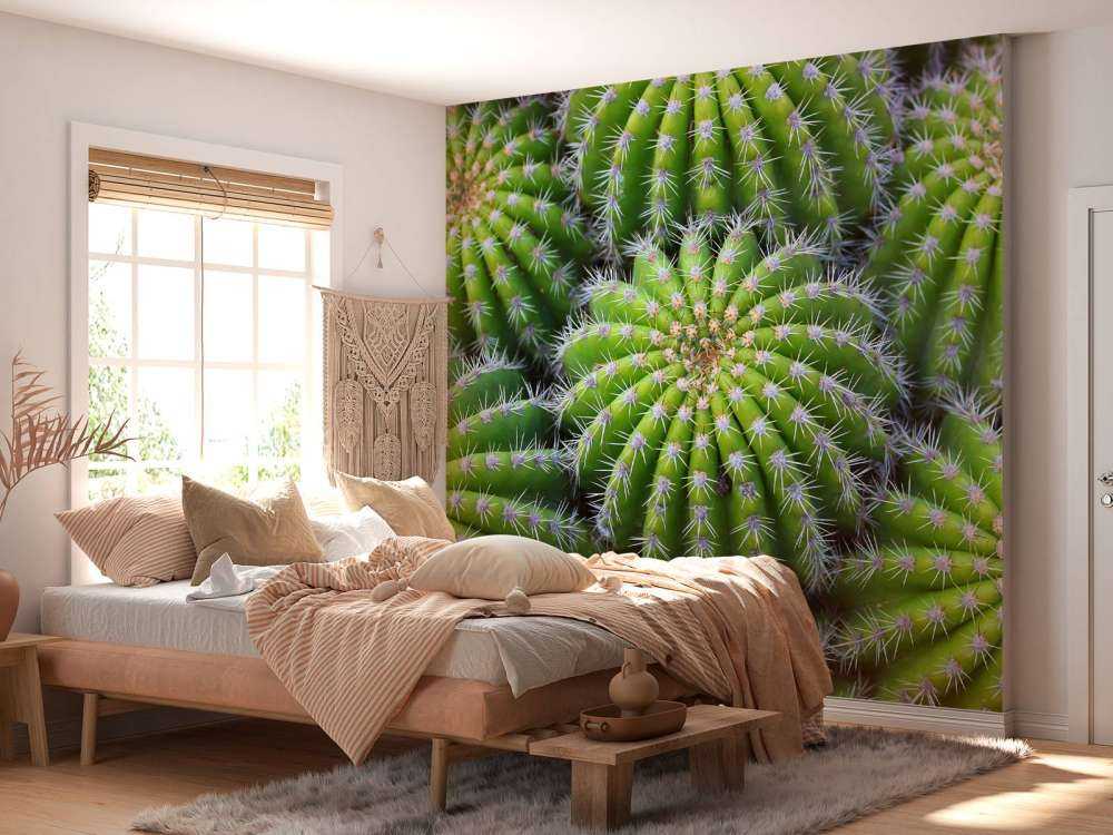 Cacti