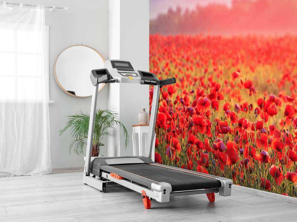Field full of poppies