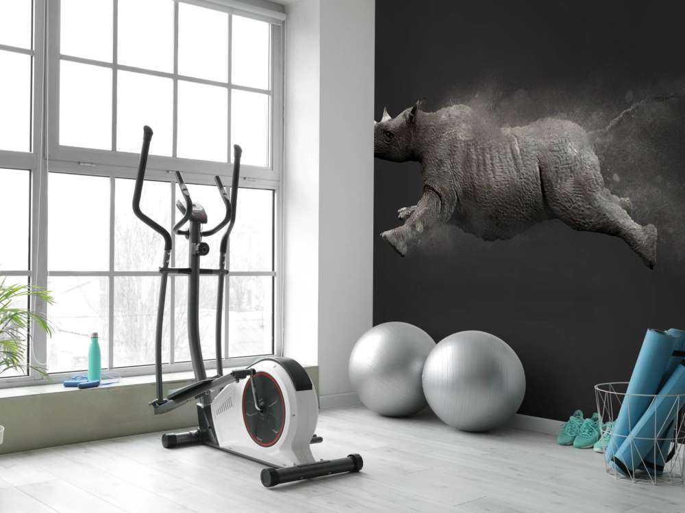 Jumping rhino