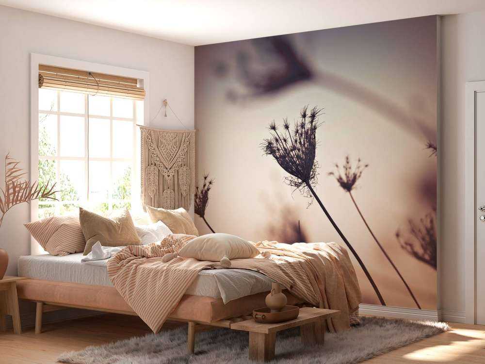 Silhouettes of plants