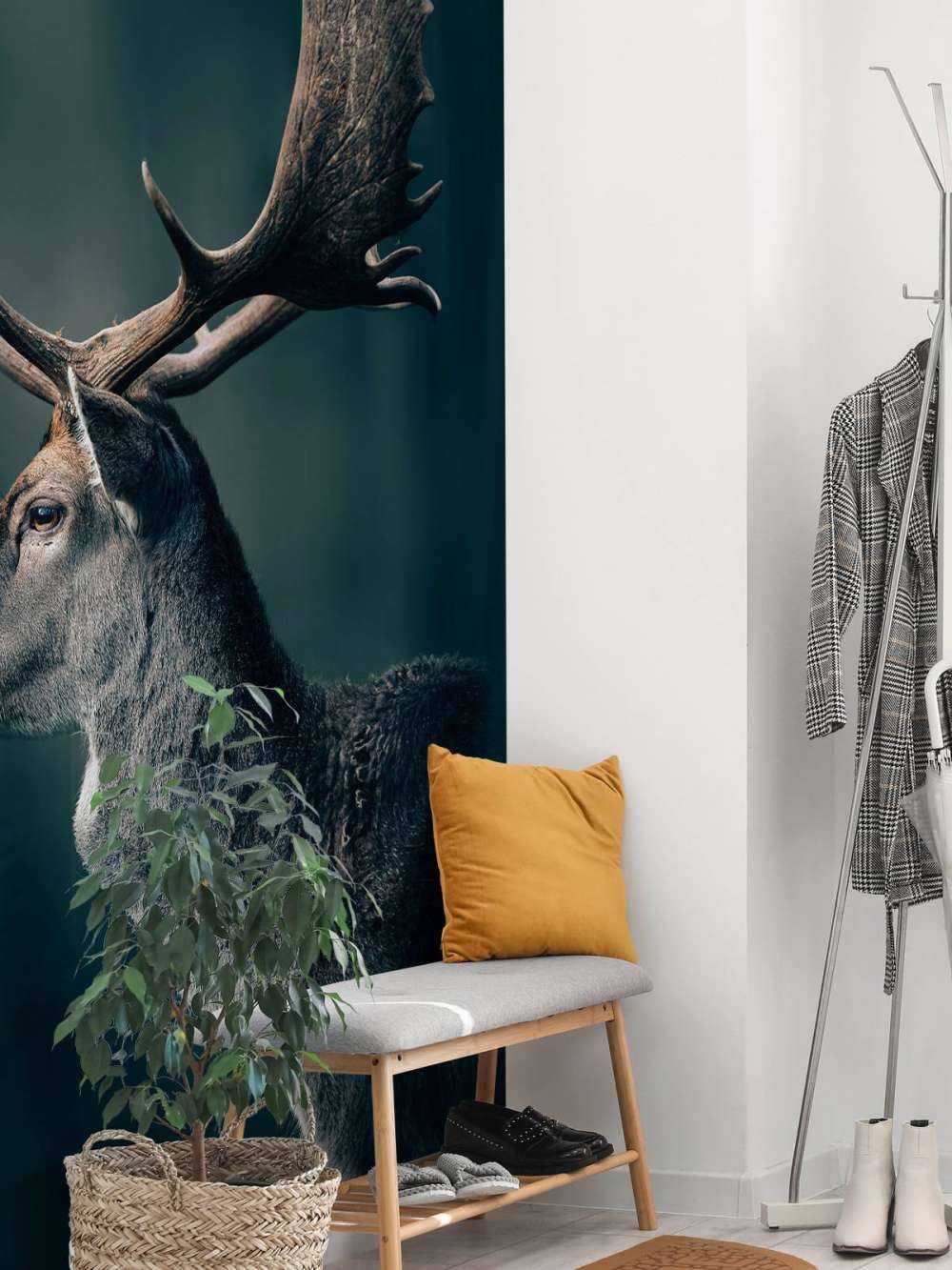 Fallow deer close-up