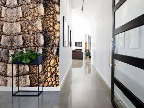 Crocodile Texture