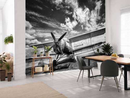 Classic airplane