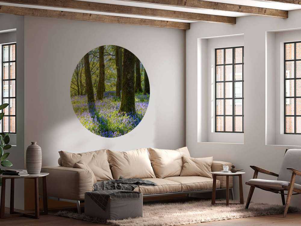 Spring panorama in a forest