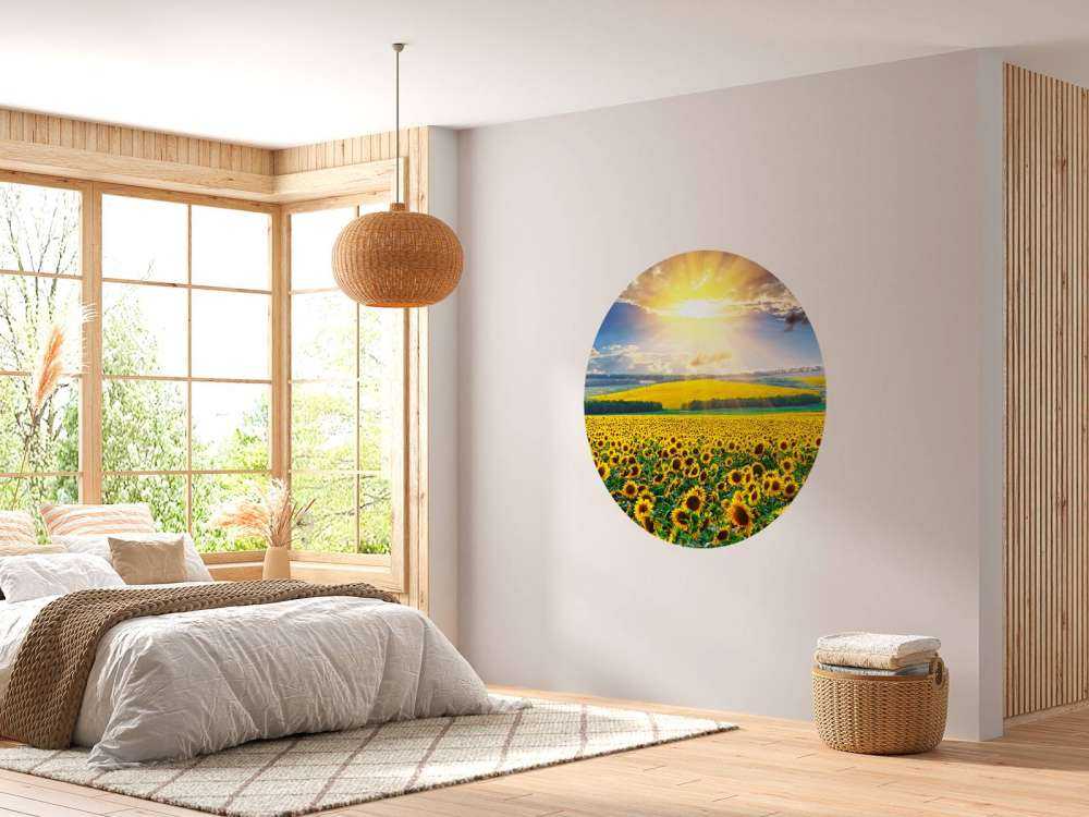 Zonnebloemen Veld met Opkomende Zon