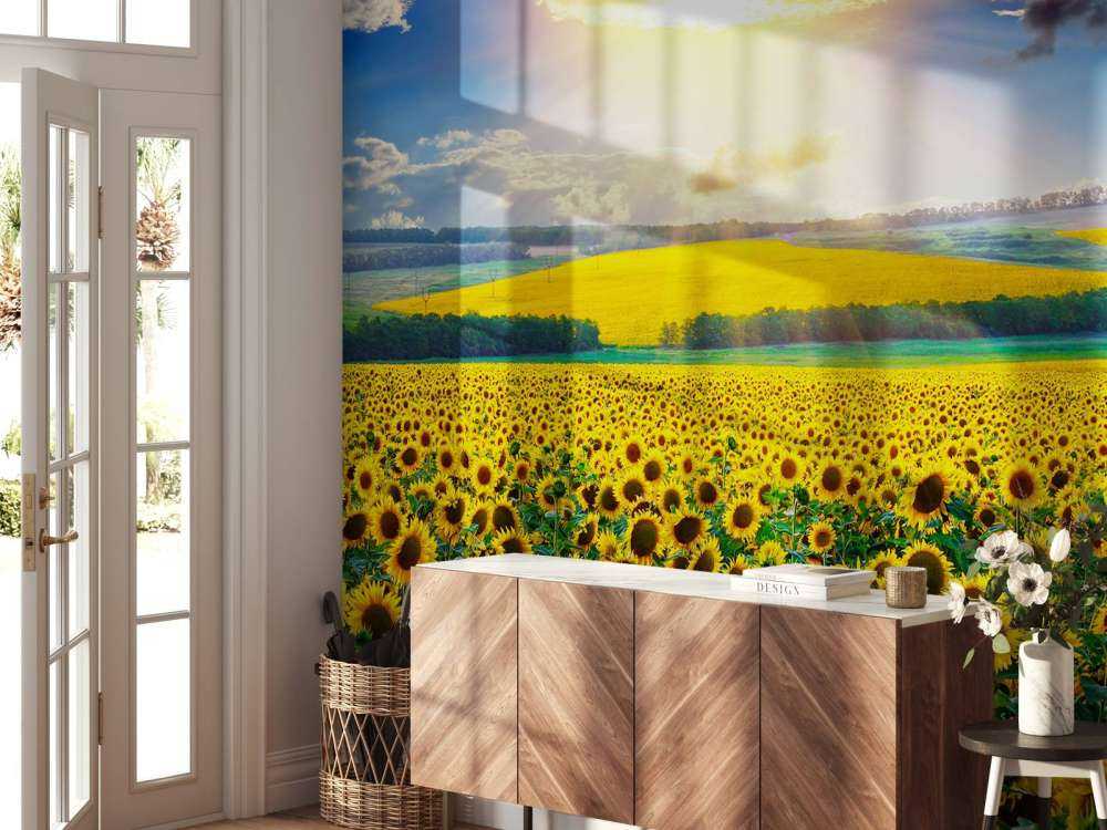 Zonnebloemen Veld met Opkomende Zon