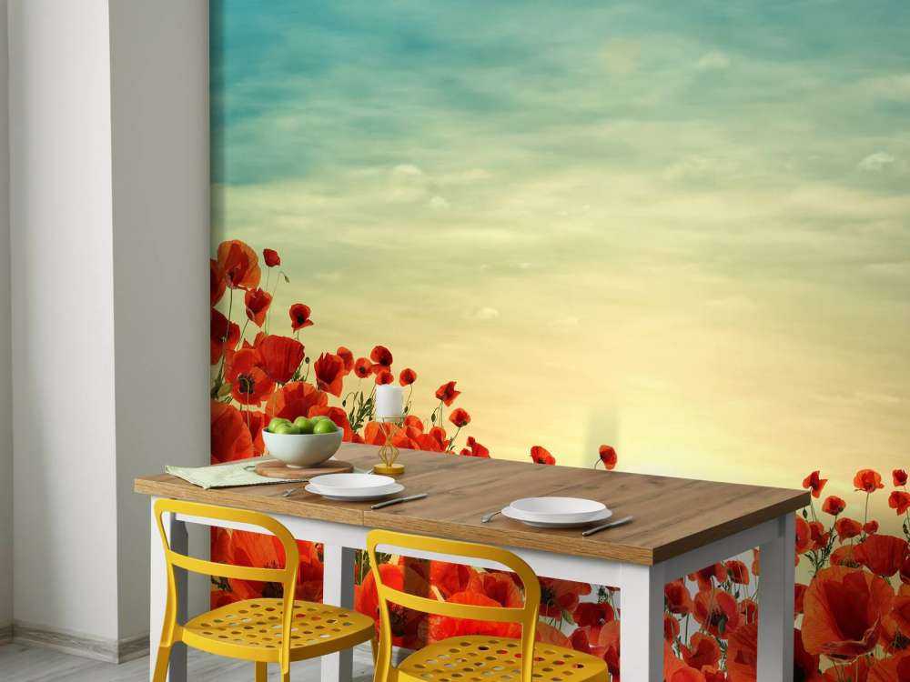 Poppies with sunset