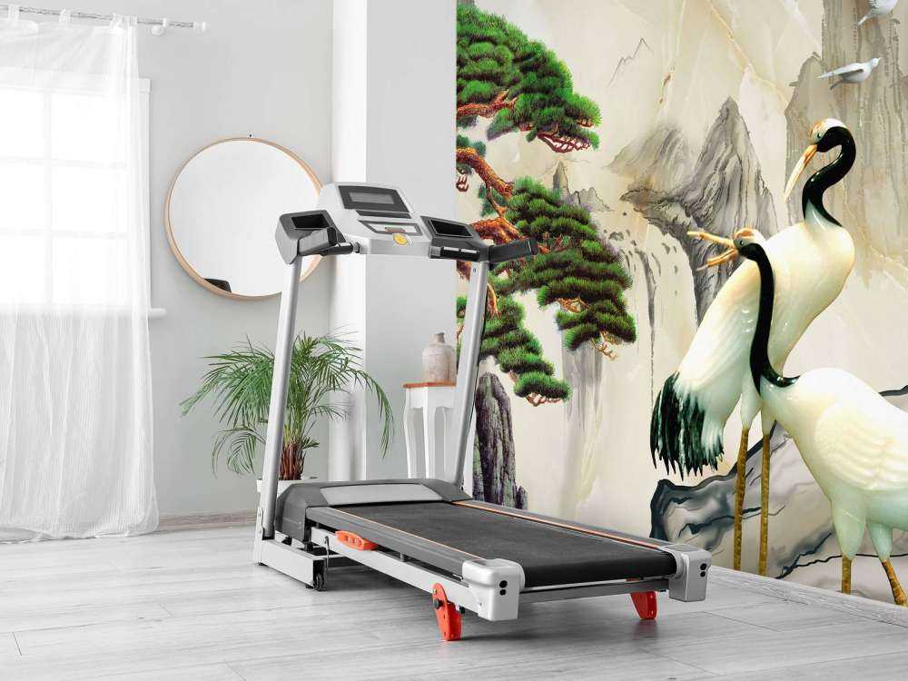 Cranes in a fantasy world