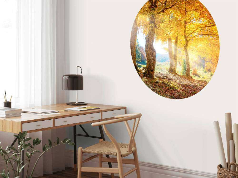 Warm autumn landscape