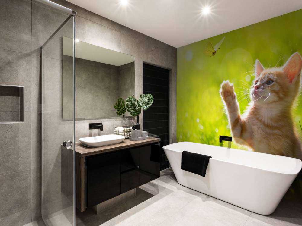 Jonge kat probeert een vlinder te vangen