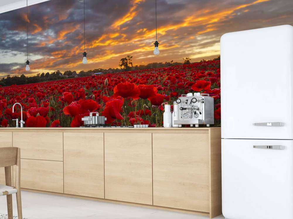 Poppies field with beautiful sky