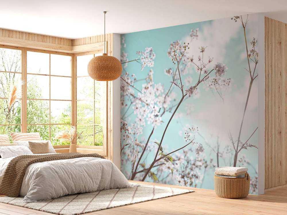 Almond blossom in the sun