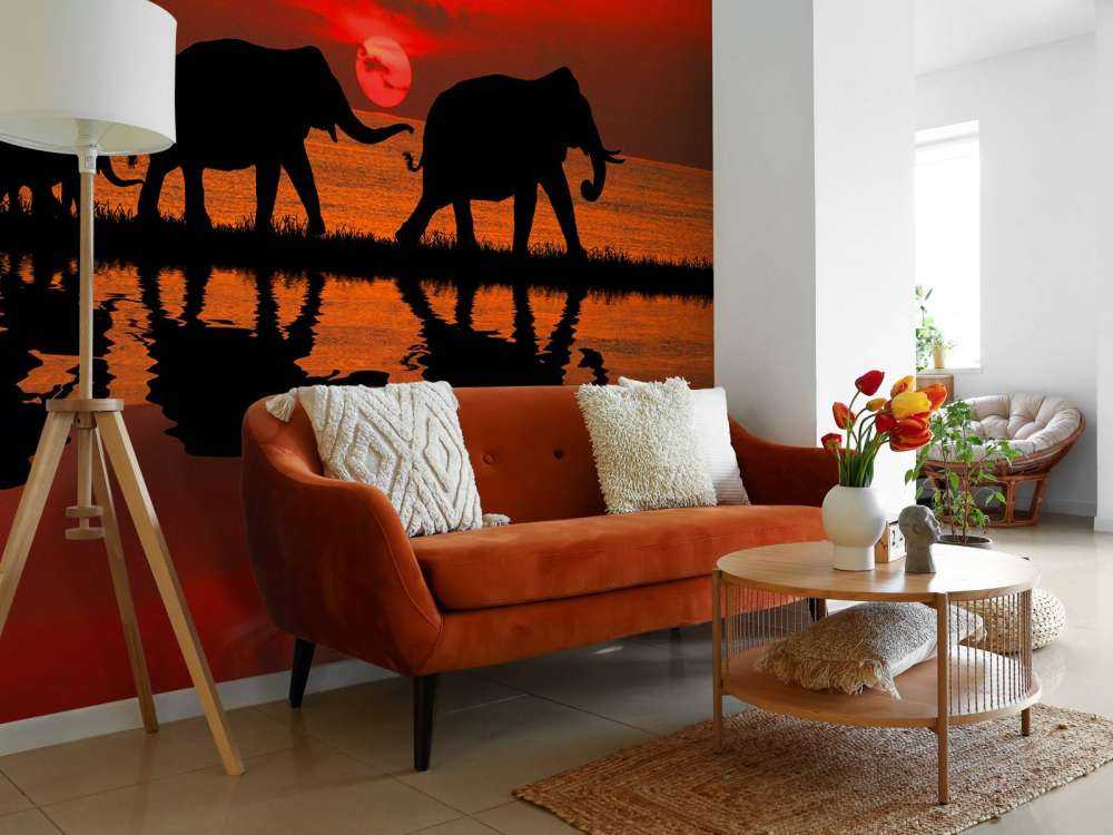 Olifanten en zonsondergang